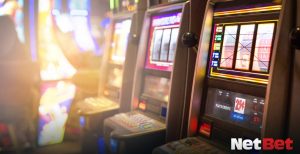 pomboty - Jogos Bet Oficial